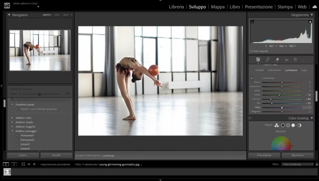 HSL palette Lightroom