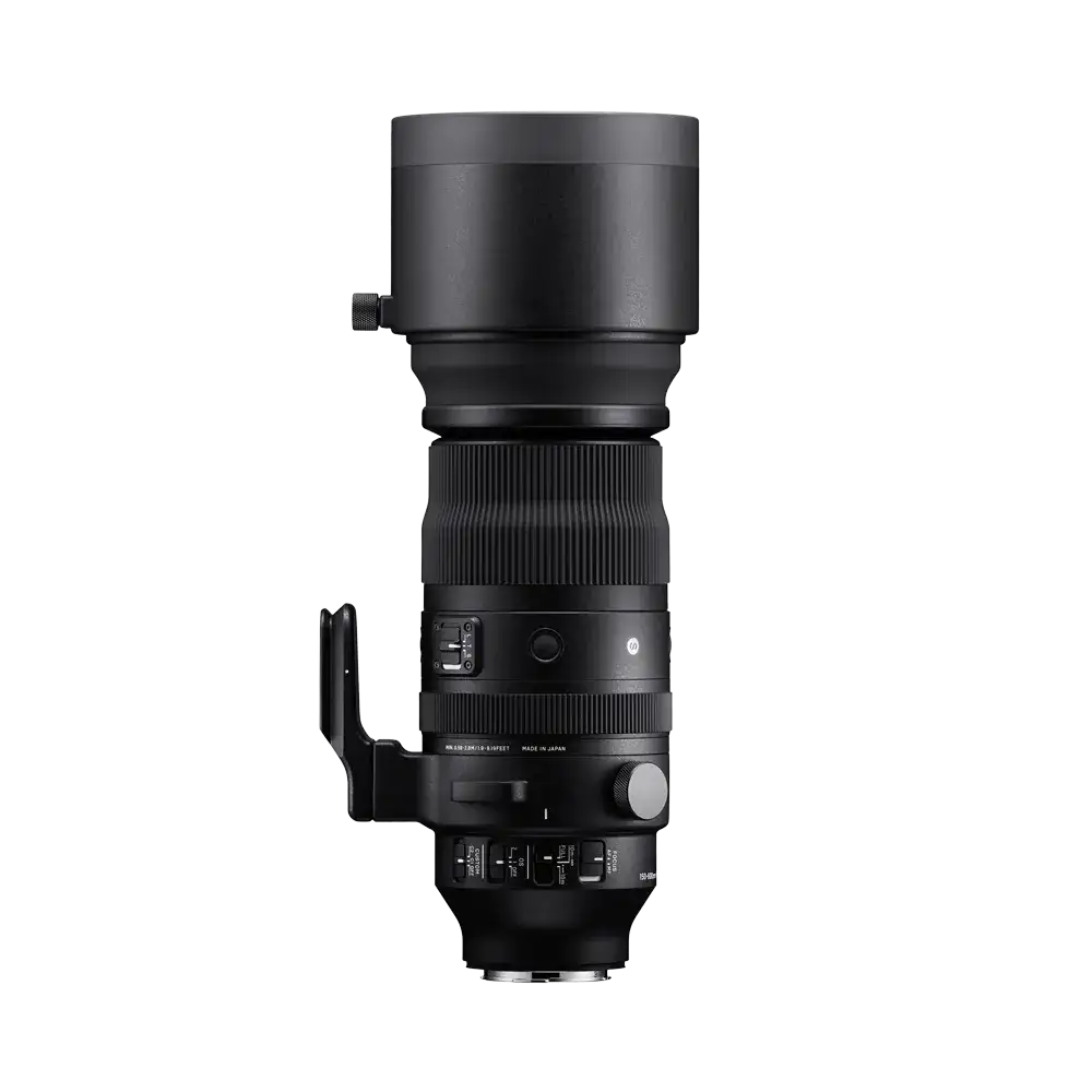 Sigma Italia, obiettivo 100-600 